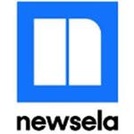 Blue n logo for newsela 