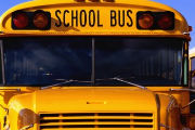  School Bus